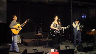 DeAnna April 2014 Recorded Live  The Thirsty Armadillo FW Stockyards [upl. by Ednalrym64]