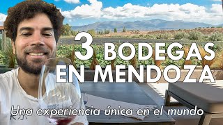 3 BODEGAS en MENDOZA [upl. by Lytton]