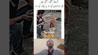 Tarbiyat janwar ko b khas bane dyta hai🥰trending shorts dog trending trendingshorts viralvideo [upl. by Banky]