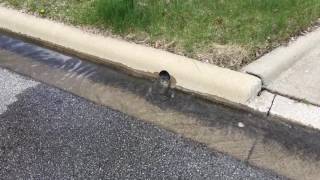 Sump pump failure 18 inch away from flooded basement [upl. by Jada]