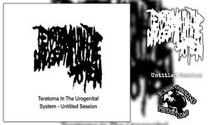 Teratoma In The Urogenital System  Untitled Session Debut Single Harsh Gorenoise [upl. by Knapp71]