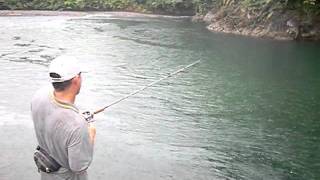 Untouched PNG river Spot Tail Bass fishing [upl. by Dreeda]