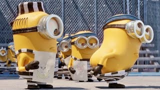 Minions  BOOM PARARARARA BOOM [upl. by Auhs]