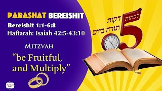 PARASHAT BEREISHIT [upl. by Nahum695]