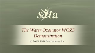 SOTA Water Ozonator  Model WOZ5  Demonstration [upl. by Anaher]