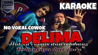 Delima Karaoke Tanpa Vokal Cowok New Pallapa [upl. by Siurad]