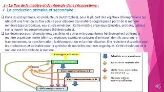 tronc commun Flux de matière et d’énergie dans les écosystèmes partie2 شرح بالداريجة SVT [upl. by Karmen]