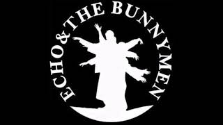 Echo And The Bunnymen  Live in Hamburg 1981 Full Concert [upl. by Haniraz574]