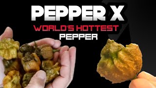 Pepper X Worlds Hottest Pepper [upl. by Ledarf]