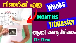 How to Calculate pregnancy weeksmonth amp trimester Malayalam [upl. by Draillih]