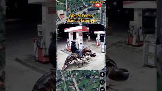 OMG I Found Giant Lobster on Google Earth and Google maps shorts viralvideo 😱 [upl. by Aticnemrac]