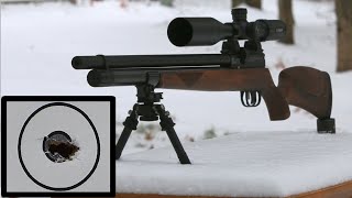 100 Yard Accuracy on a Budget  JTS Airacuda 25  Complete PCP Air Rifle Kit for 500 [upl. by Gareri]