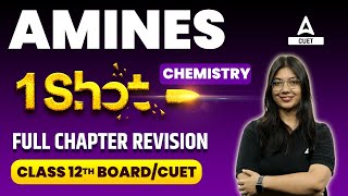 CUET 2024  Amines Class 12 One Shot  Chemistry Chapter 7 [upl. by Legyn212]