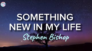 Something New In My Life  Stephen Bishop  Lyrics [upl. by Vasta312]