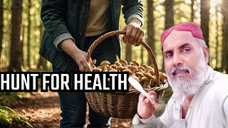 Mushroom Hunting The Surprising Health Benefits [upl. by Kurtis]