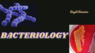 Bacteriology Microbiology  Rapid Revision Oneshot Bacteria neet mbbs study [upl. by As]