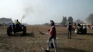 Tractor racing  an amazing sport of Punjab [upl. by Ateuqram]