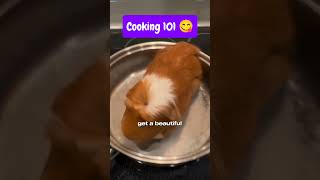 Tastes like chicken funny viral trending guineapig [upl. by Nired]