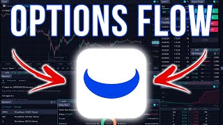 How To View Options Order Flow On Webull FREE [upl. by Sicard886]