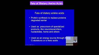 Fate of Dietary Amino Acids Metabolism Made Easy [upl. by Gniy]