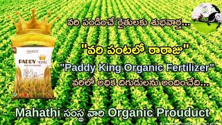 Paddy King Organic Fertilizer  వరిలో రారాజు Mahathi సంస్థ వారి Product వరి పంట ఆరోగ్యంగా రావాలంటే [upl. by Suter]