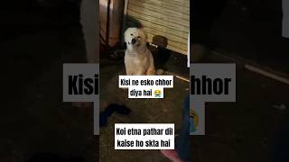 Dog abandoned crying for owner 😭🐶 trandingshorts dog pets labrador viralreels animals shorts [upl. by Jeddy650]