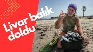 Bol bol istavrit ve kolyos avı ile sepeti doldurduk😀bellyboat bellyboatfishing [upl. by Elleivap]