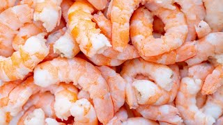 Making Cristine Shrimp Scampolini [upl. by Ecadnac]