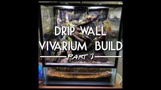 Drip Wall Vivarium Pt 3 [upl. by Getter]