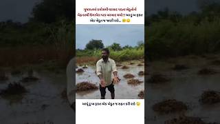 કમોસમી વરસાદ પર ખેડૂતની વેદના 😥gujarat youtube shorts farmer indja video shortvideo [upl. by Sherye]