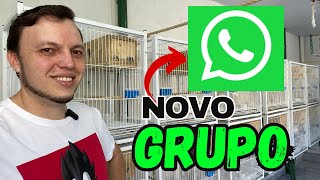 NOVO GRUPO DE WHATSAPP SOBRE AVES AGORA FICOU BOM [upl. by Cromwell]