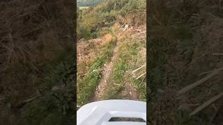 Crows Nest at Dunkeld mtb mountainbiking downhillbiking downhilllife mountains gopro pov [upl. by Elwood]