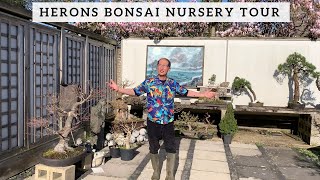 Herons Bonsai Nursery Tour [upl. by Noelle]