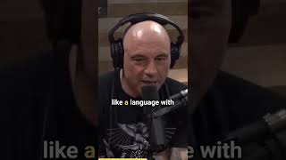 Joe Rogan Explains why Jiu Jitsu is a martial ART [upl. by Aisan383]