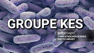 GROUPE quotKESquot KLEBSIELLA ENTEROBACTER SERRATIA [upl. by Aloivaf]