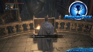 Bloodborne  Rune Master Trophy Guide Acquire an extremely precious Caryll Rune [upl. by Pamela]