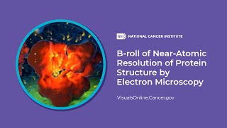 Broll of NearAtomic Resolution of Protein Structure by Electron Microscopy [upl. by Amik]