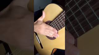 Rumba flamenco guitar technique [upl. by Olshausen366]