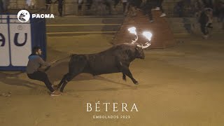 Documentamos la crueldad hacia los toros embolados en Bétera Valencia [upl. by Drucill]