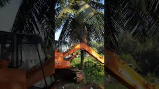 Green trees  Konaseema Andhra Pradesh auto RIDE1 [upl. by Bran]