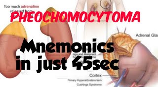 phechromocytomapheochromocytoma mnemonicsmedical mnemonics [upl. by Trautman44]