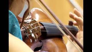 Paganini in shorts Violin Concerto No1 Cadenza by Sauret excerpt [upl. by Nomsed]