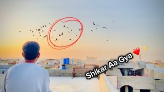 Kisi ky 20 kabotar aa gy aj toh 🧐 shikar or fight [upl. by Ainirtak136]