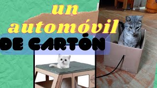 UN AUTOMÓVIL PARA TU GATO AUTOMOVILPARATUGATO automóvil gato [upl. by Enyrhtak]