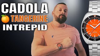 Wrist Watch Reviews For Men  Cadola Tangerine Intrepid Watch [upl. by Harraf]