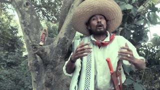 Leyendas y misterios de los pueblos de Colima  el remudadero [upl. by Shapiro938]