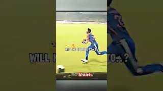 Hardik Took Crucial Catch shorts cricket sg hardikpandya [upl. by Nyliram]