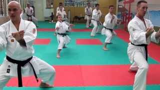 Uechi ryu trening učeničkih kata [upl. by Ydac]