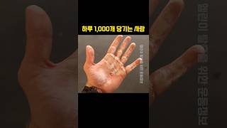 턱걸이 하루 1000개로 만든 등 [upl. by Egdirdle279]