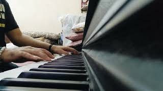 HUA MAIN  Animal  Piano Cover Nityam Kapoor Easy Tutorial [upl. by Nesyaj]